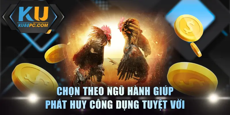 Chọn theo ngũ hành giúp phát huy công dụng tuyệt vời