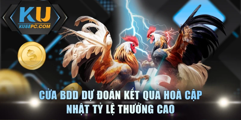 Cửa BDD dự đoán kết quả hoà cập nhật tỷ lệ thưởng cao