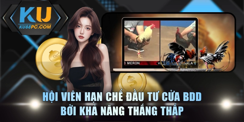 Hội viên hạn chế đầu tư cửa BDD bởi khả năng thắng thấp