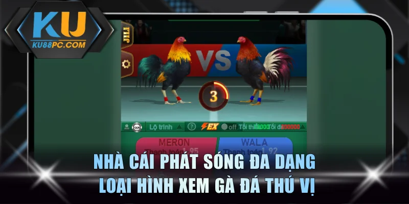 Nhà cái phát sóng đa dạng loại hình xem gà đá thú vị