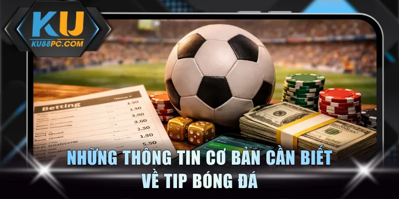 Những thông tin cơ bản cần biết về tip bóng đá