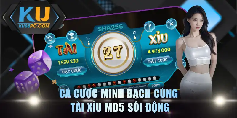 Cá cược minh bạch cùng tài xỉu MD5 sôi động