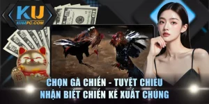 Chọn Gà Chiến