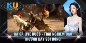 Đá Gà Live
