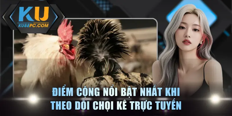 Điểm cộng nổi bật nhất khi theo dõi chọi kê trực tuyến