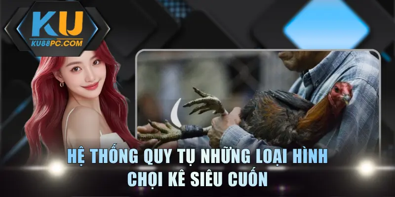 Hệ thống quy tụ những loại hình chọi kê siêu cuốn